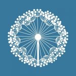stages Au coeur du cercle