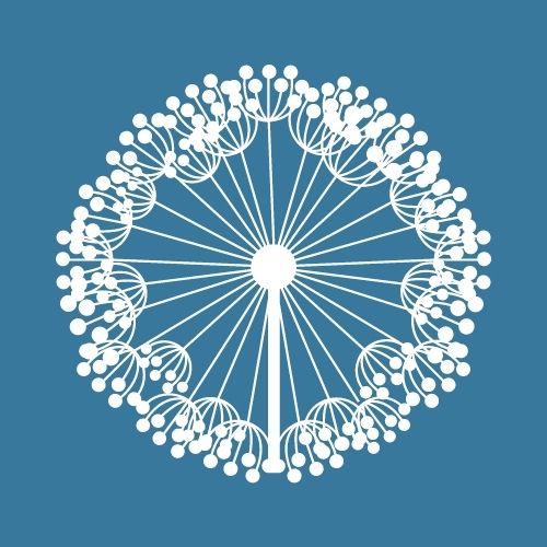 stages Au coeur du cercle