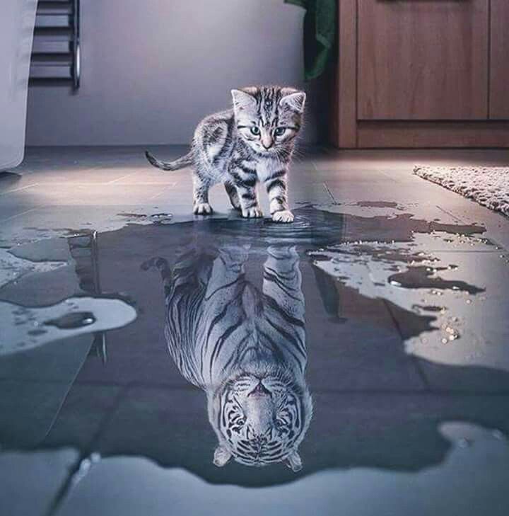 You are currently viewing UNE ÉDUCATION CONSCIENTE ET ÉMOTIONNELLE