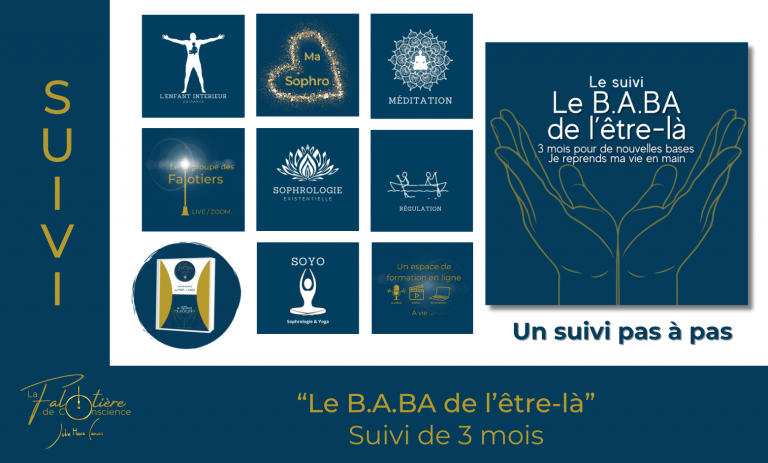 le suisvi :Le B.A.BA de l’être-là